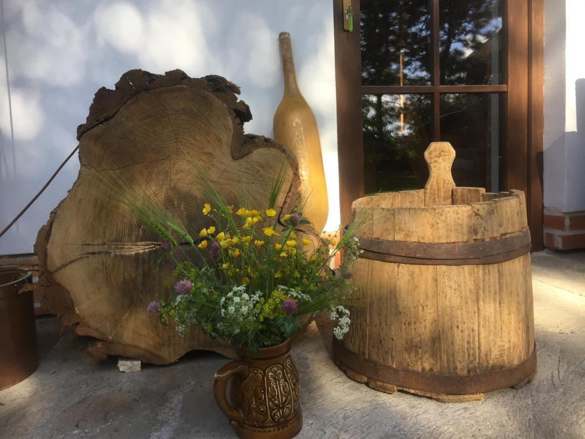 Villa Dom Pod Orzechem Lapczyca Esterno foto