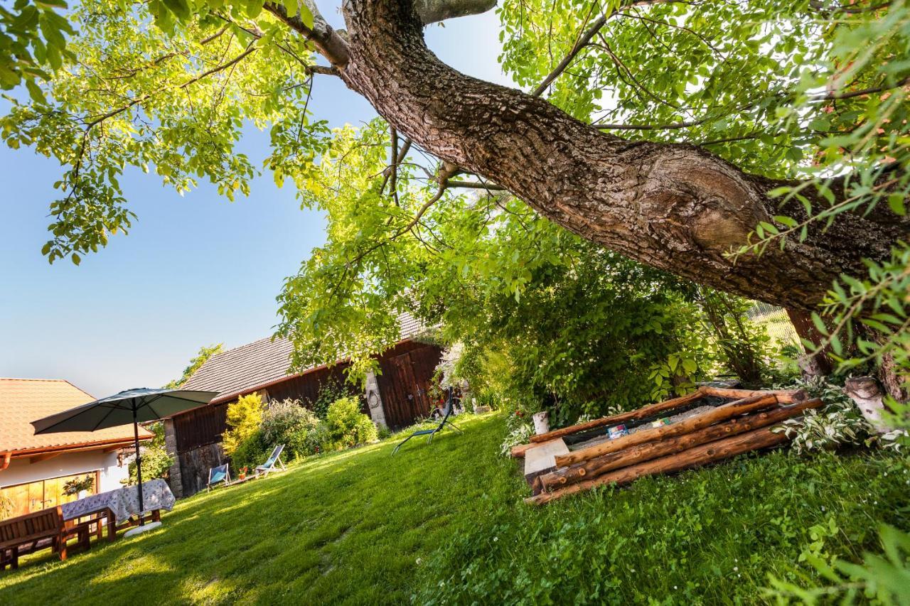 Villa Dom Pod Orzechem Lapczyca Esterno foto